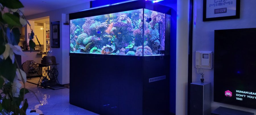 Meerwasseraquarium 1400 Liter