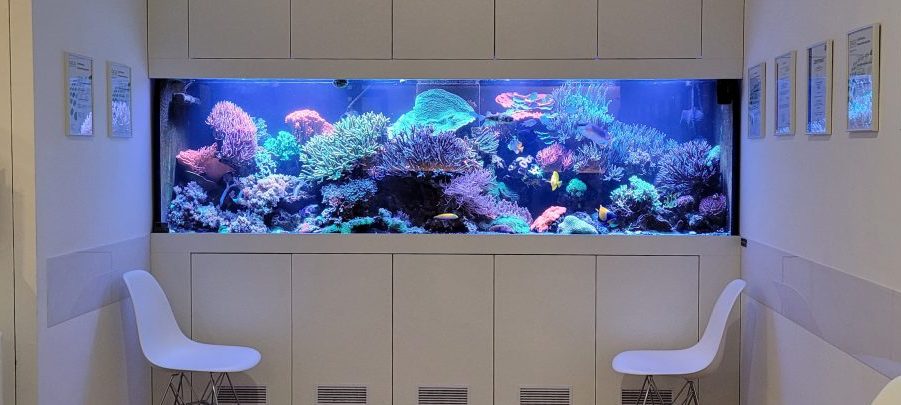 Meerwasseraquarium 2800 Liter